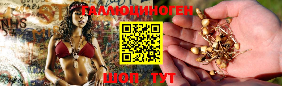 Псилоцибиновые грибы Magic Shrooms  Вход с VPN  Строитель 